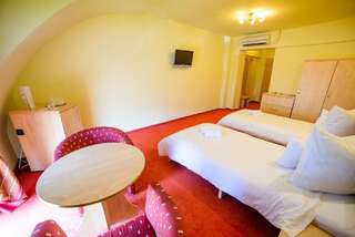 Отель Hotel Clipa Дробета-Турну- Севери Двухместный номер без балкона с 2 отдельными кроватями-3