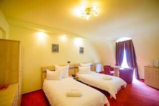 Отель Hotel Clipa Дробета-Турну- Севери Двухместный номер без балкона с 2 отдельными кроватями-4