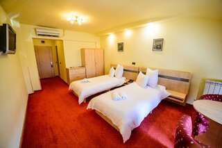 Отель Hotel Clipa Дробета-Турну- Севери Двухместный номер без балкона с 2 отдельными кроватями-5